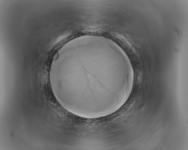 X0000111361350200908071145