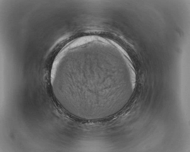 X0000111361351200908071145