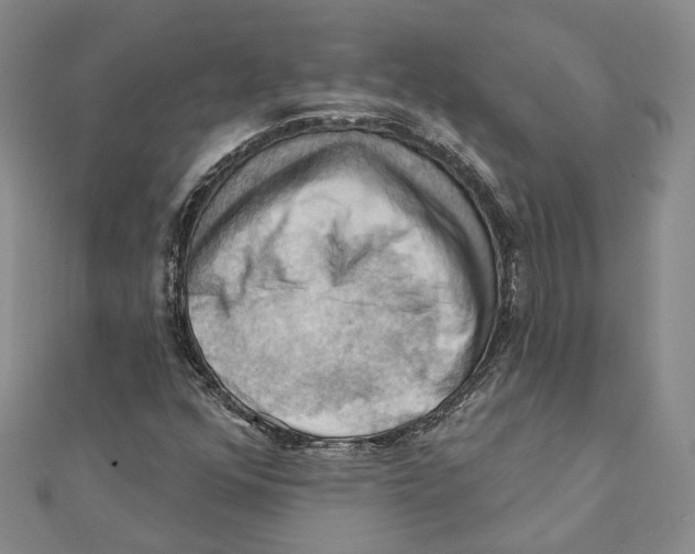 X0000111361352200908071145