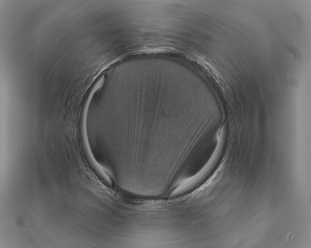 X0000111361353200908071145