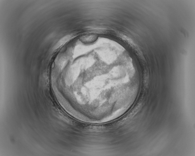 X0000111361354200908071145