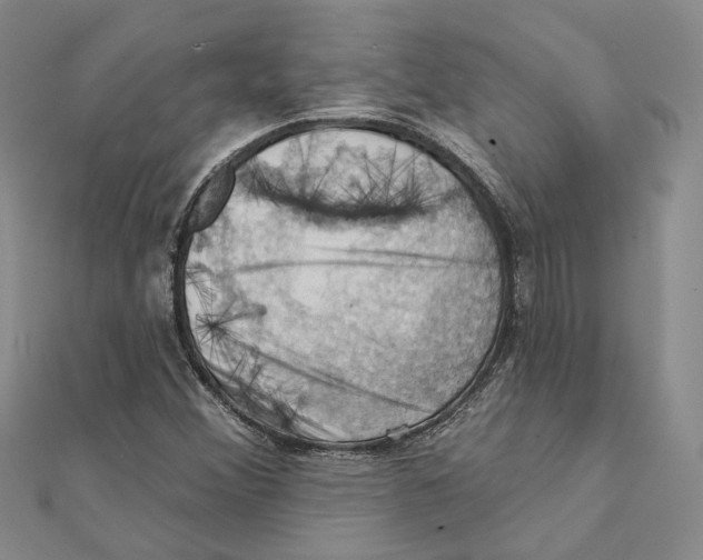 X0000111361356200908071145