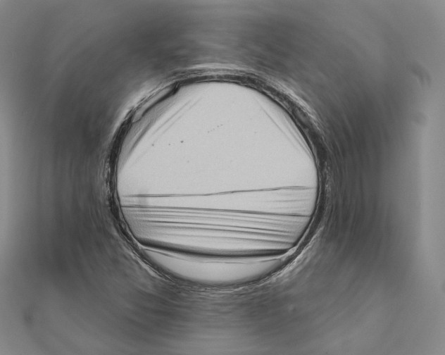 X0000111361357200908071145