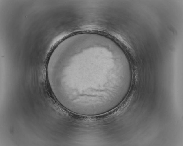 X0000111361358200908071145