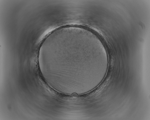 X0000111361359200908071145