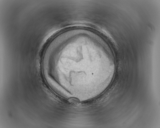 X0000111361360200908071145