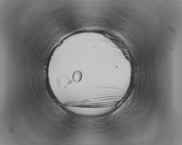 X0000111361361200908071145