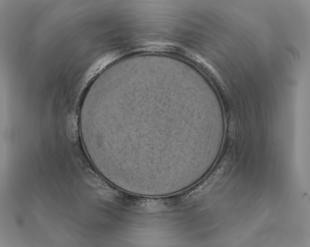 X0000111361362200908071145