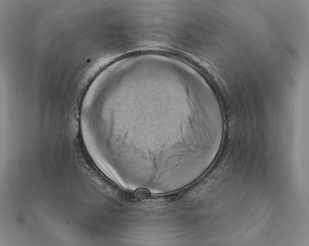 X0000111361363200908071145