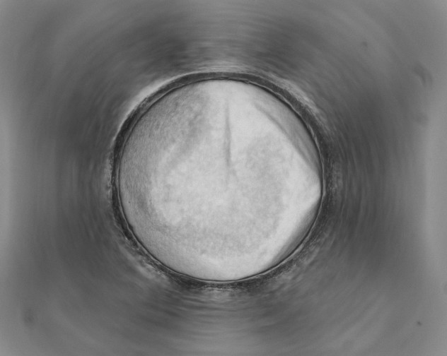 X0000111361364200908071145