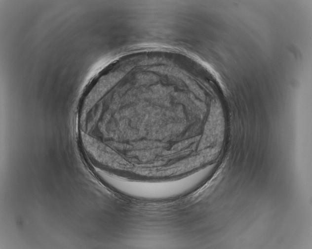 X0000111361365200908071145