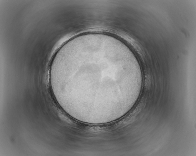 X0000111361366200908071145