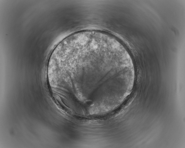 X0000111361367200908071145