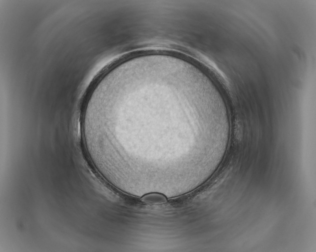 X0000111361368200908071144