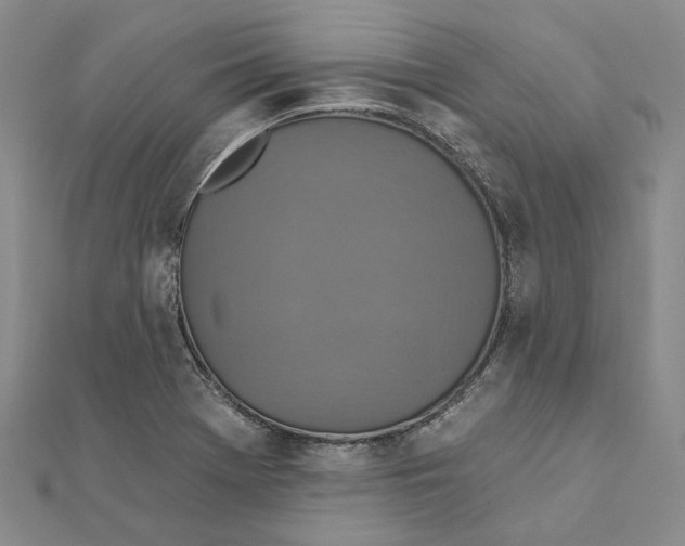 X0000111361369200908071144