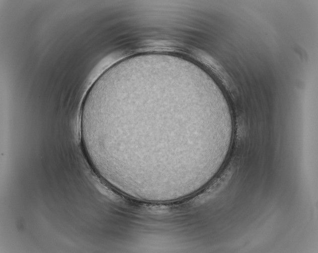 X0000111361370200908071144