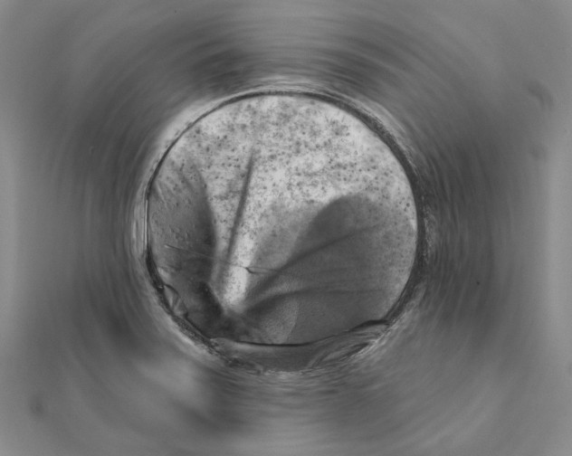 X0000111361371200908071144