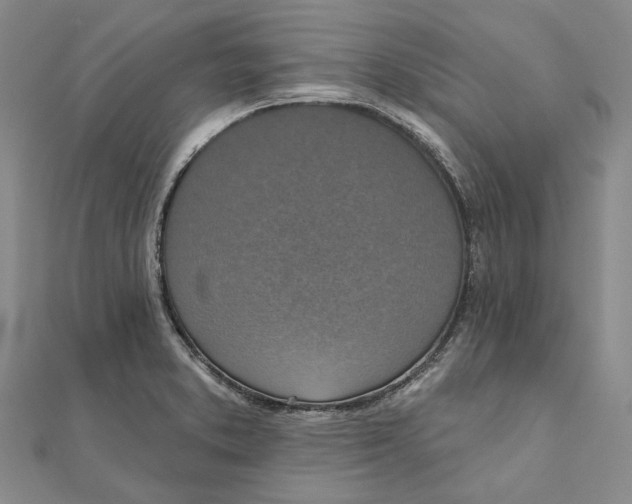 X0000111361373200908071144