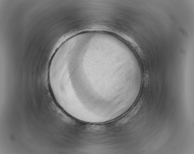 X0000111361374200908071144