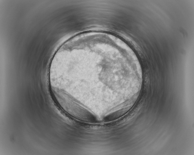 X0000111361375200908071144