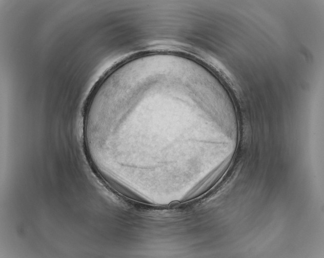 X0000111361376200908071144