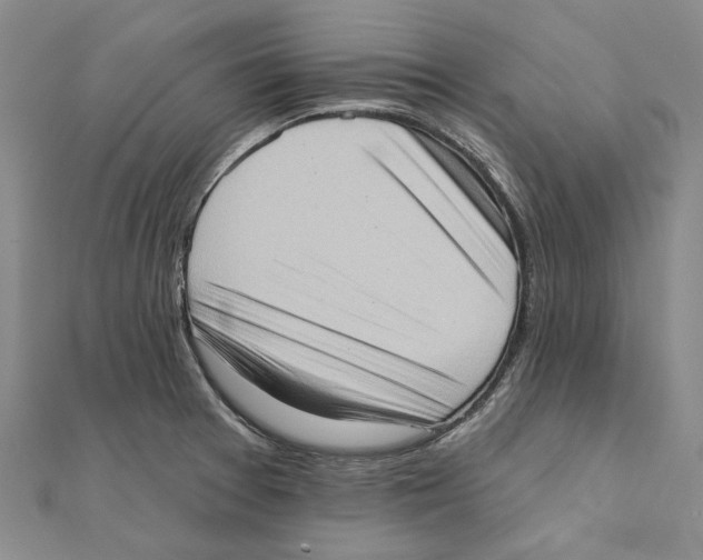 X0000111361377200908071144