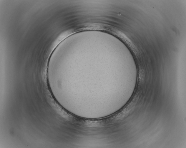 X0000111361378200908071144