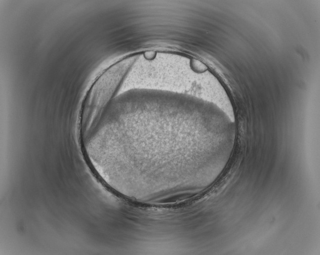 X0000111361379200908071144