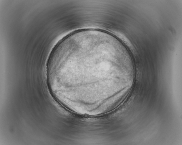 X0000111361380200908071144