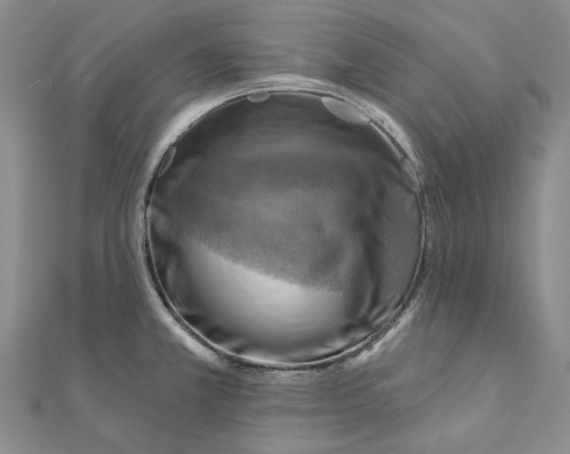 X0000111361381200908071144