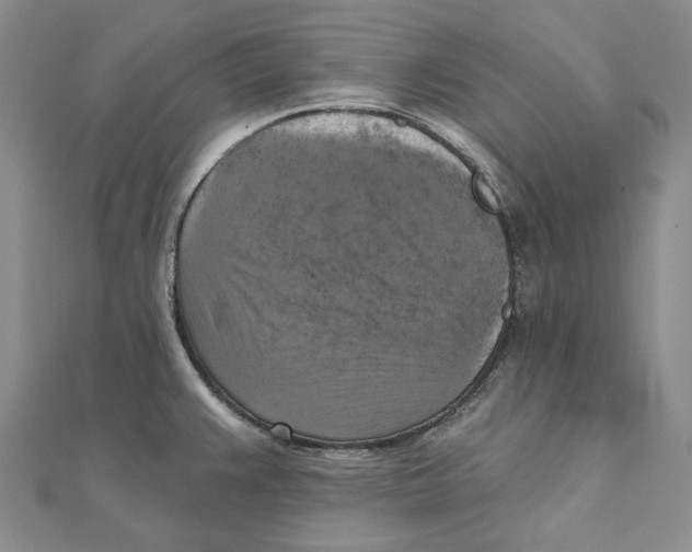 X0000111361383200908071144