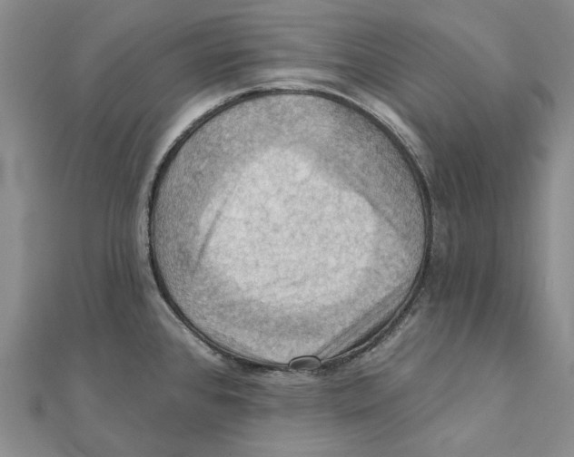 X0000111361384200908071144