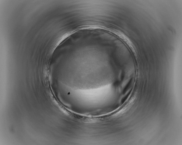 X0000111361385200908071144