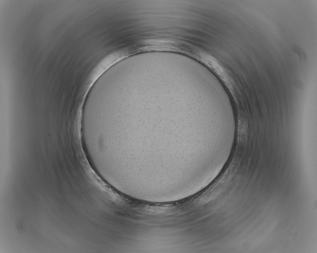 X0000111361386200908071144