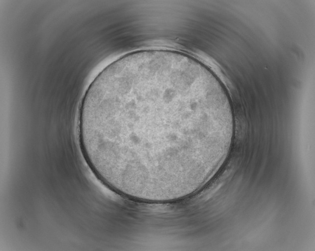 X0000111361387200908071144