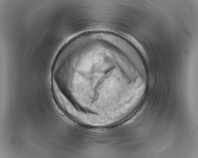 X0000111361388200908071144