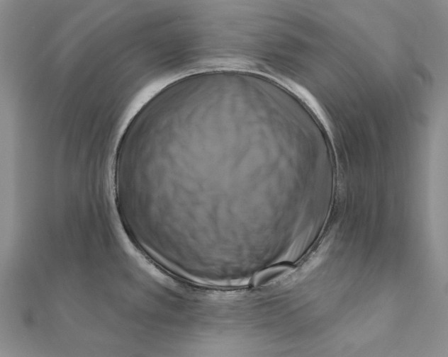 X0000111361389200908071144