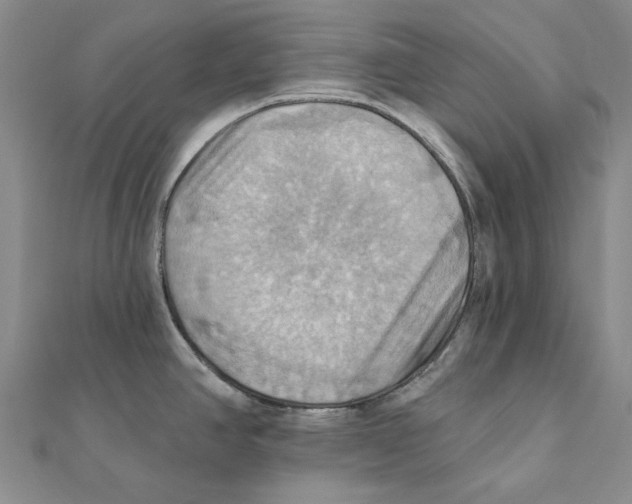 X0000111361390200908071144