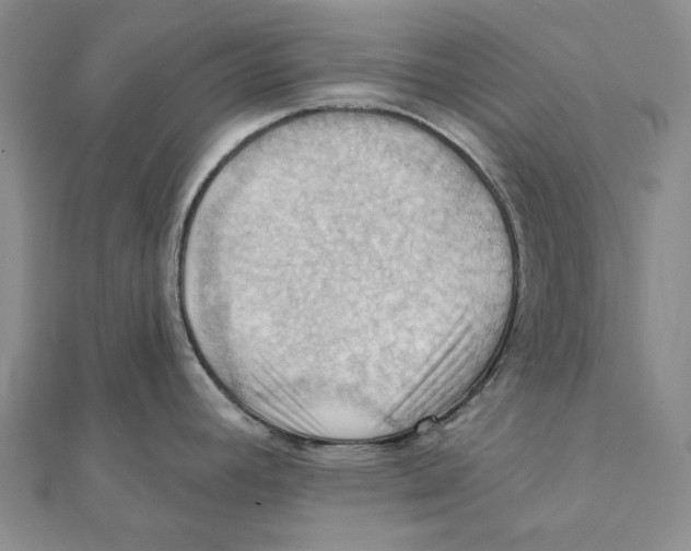 X0000111361392200908071144