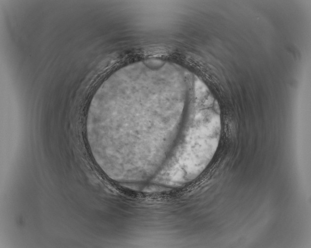 X0000111361393200908071143