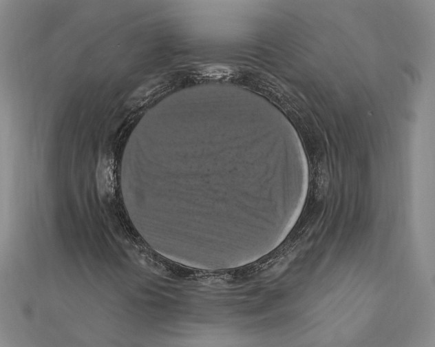 X0000111361394200908071143