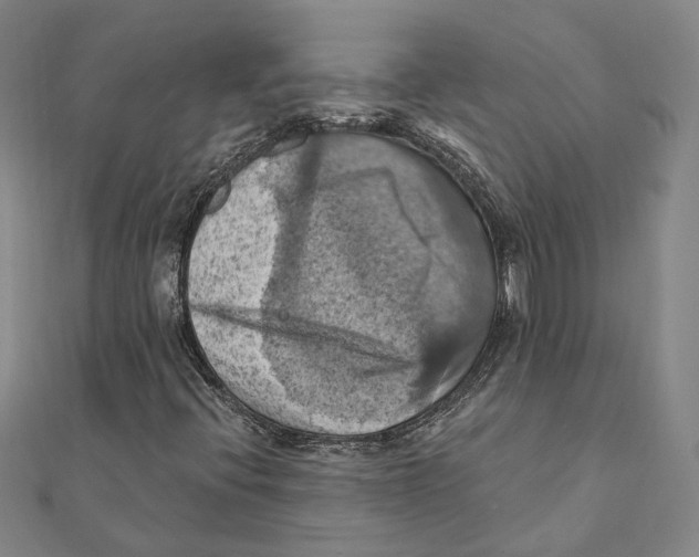 X0000111361396200908071144