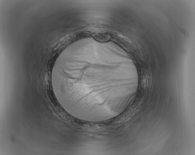 X0000111361397200908071144