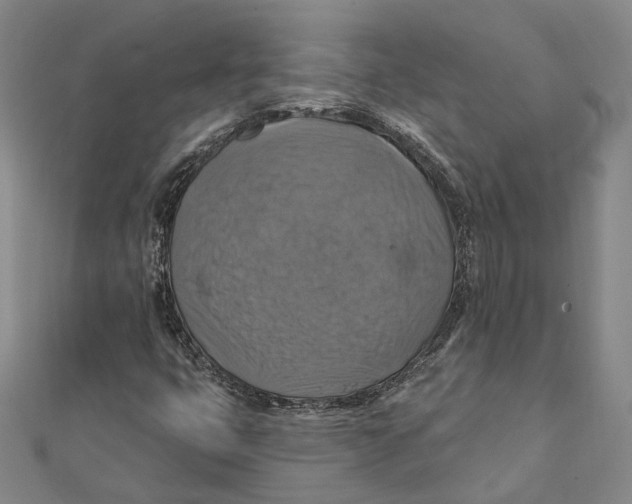 X0000111361399200908071144