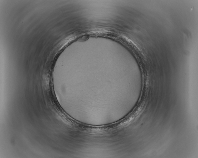 X0000111361401200908071144