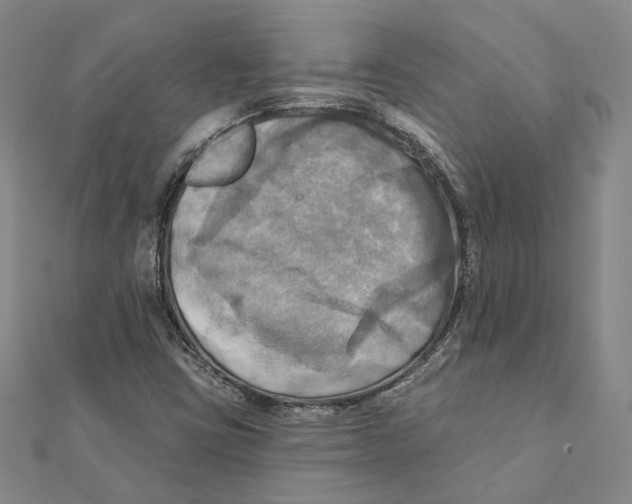 X0000111361403200908071144