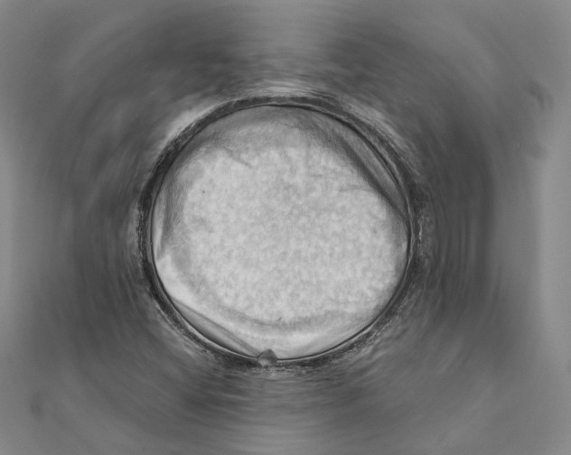 X0000111361404200908071144