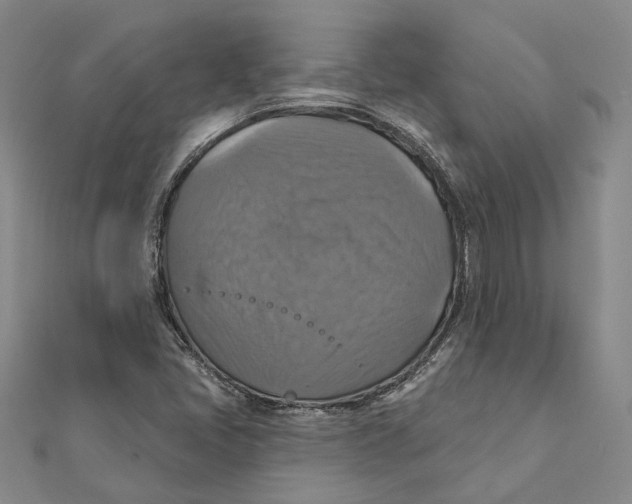 X0000111361405200908071144