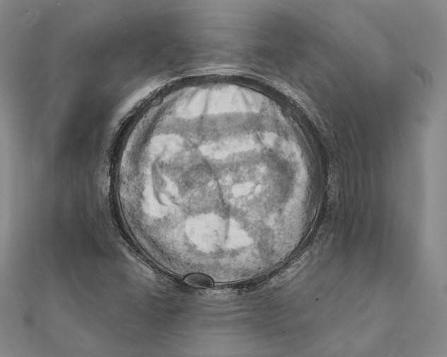 X0000111361406200908071144