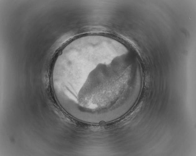 X0000111361407200908071144